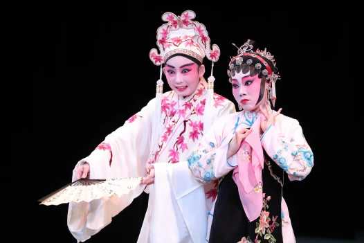 Diploma in Cantonese Opera Foundations