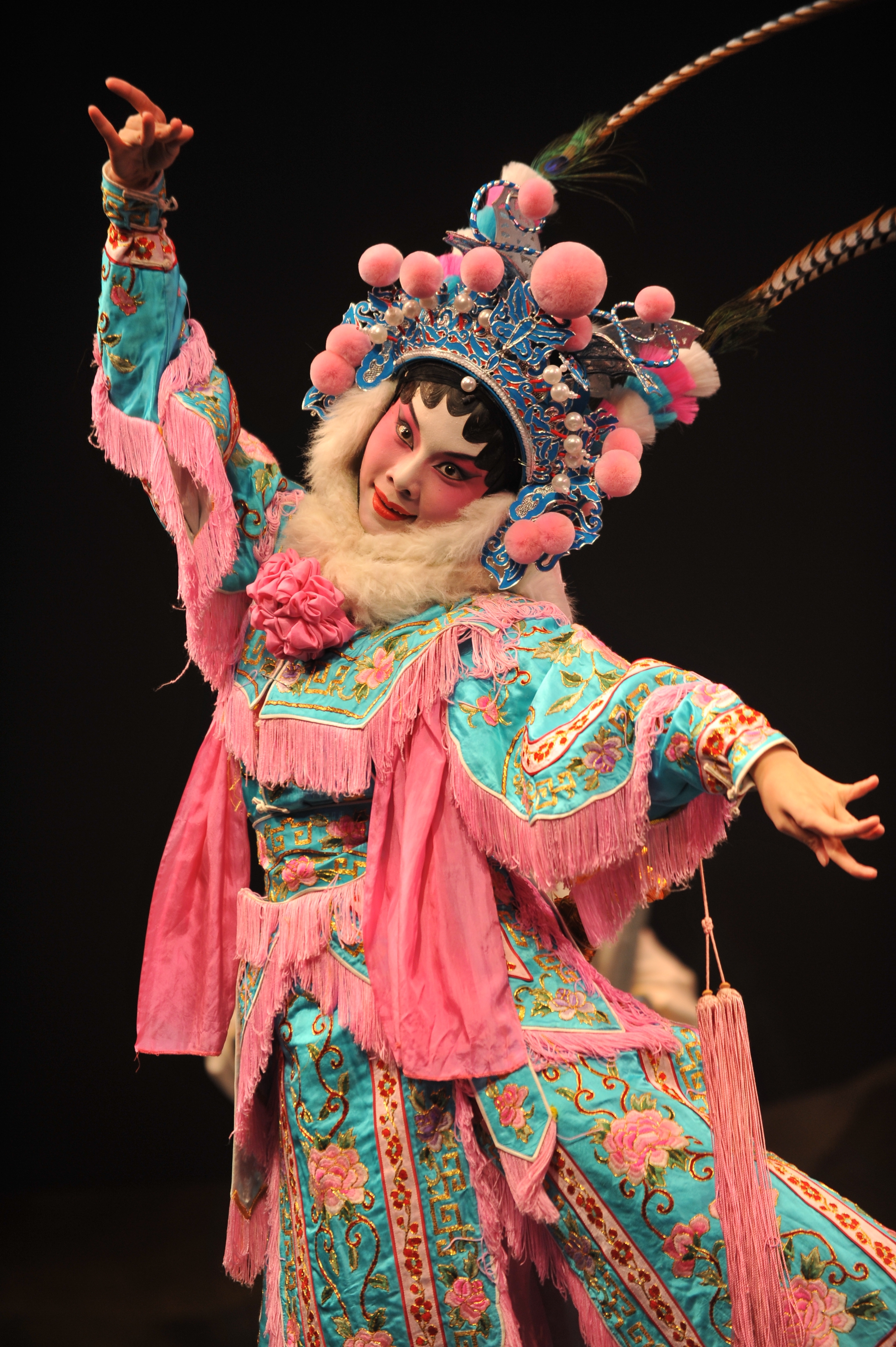 The Young Academy Cantonese Opera Troupe
