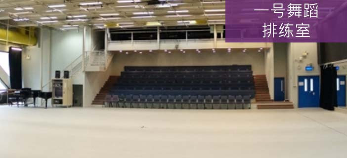 Dance Studio 1