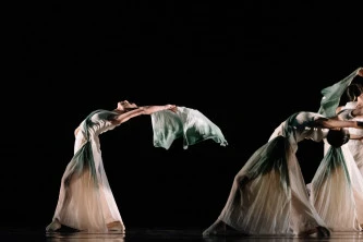 Bachelor of Fine Arts (Honours) in Dance